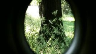 Парень в лесу полизал милой девушке пизду и вдул ей в позе наездницы и сбоку